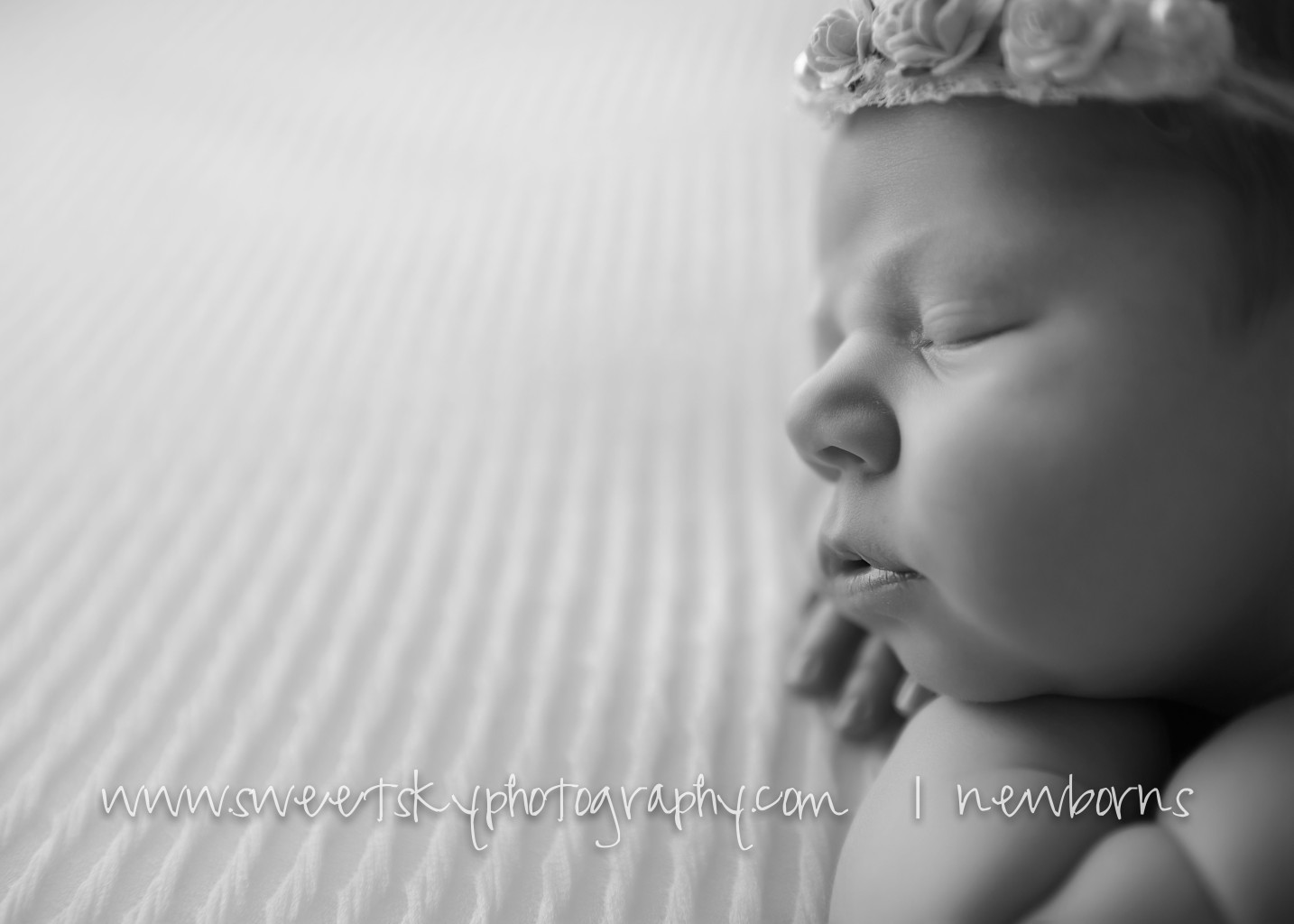 Baby Mini Session