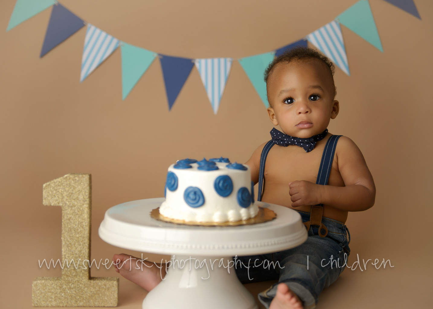 1st Birthday Cake Smash Mini Session