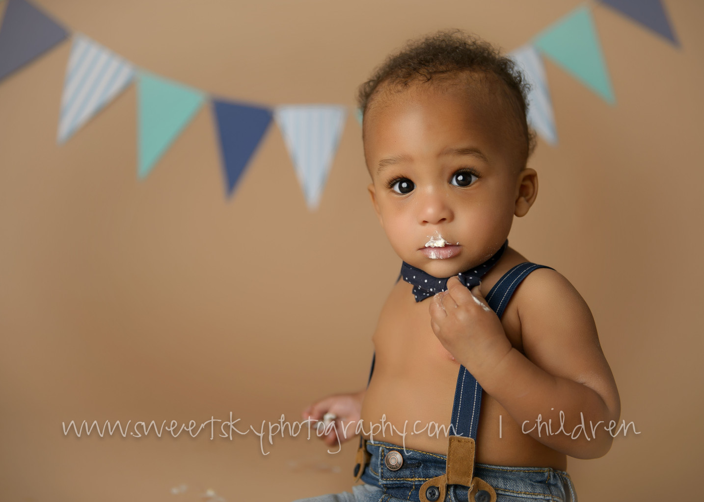 1st Birthday Cake Smash Mini Session