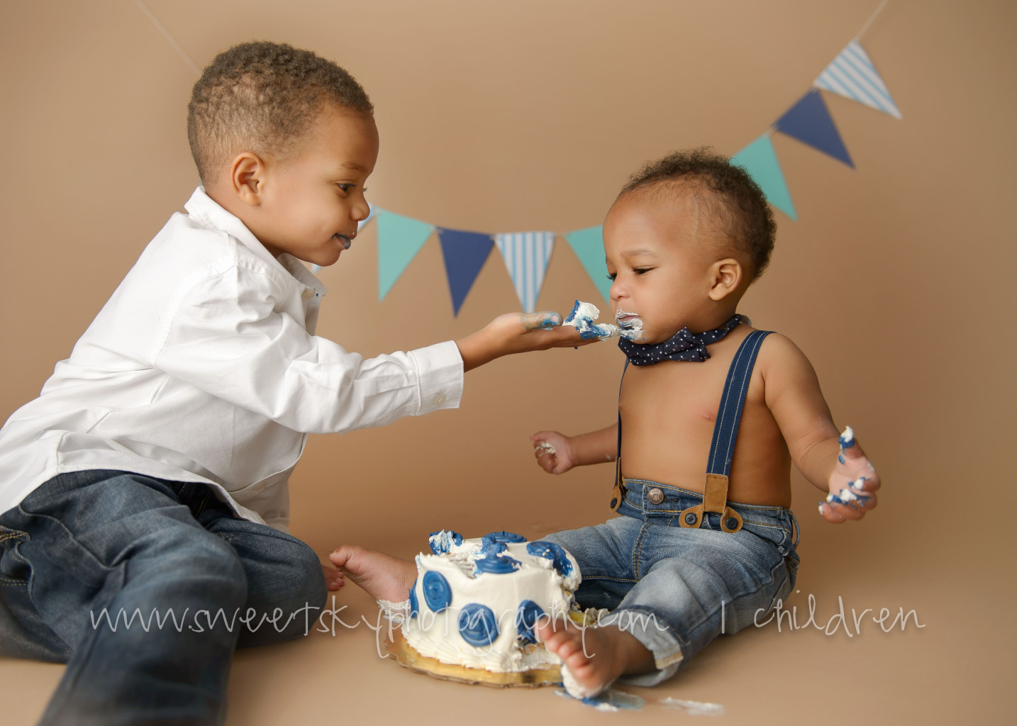 1st Birthday Cake Smash Mini Session