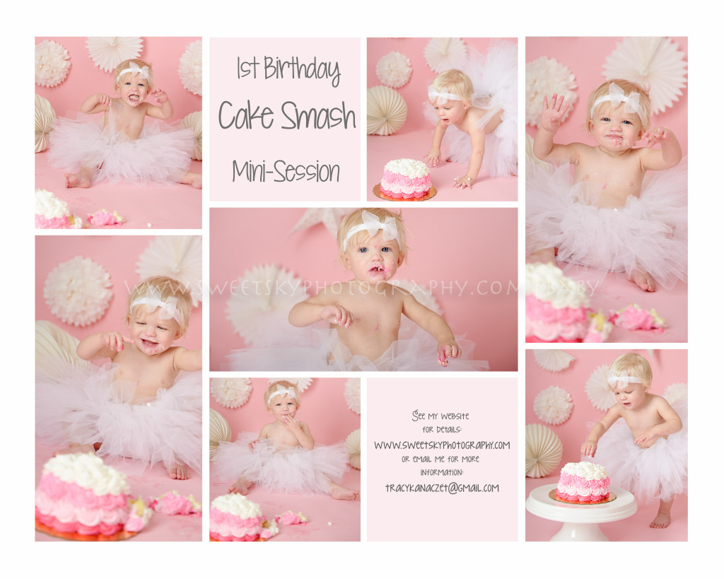 Atlanta_Baby_Photographer_Cake_Smash08