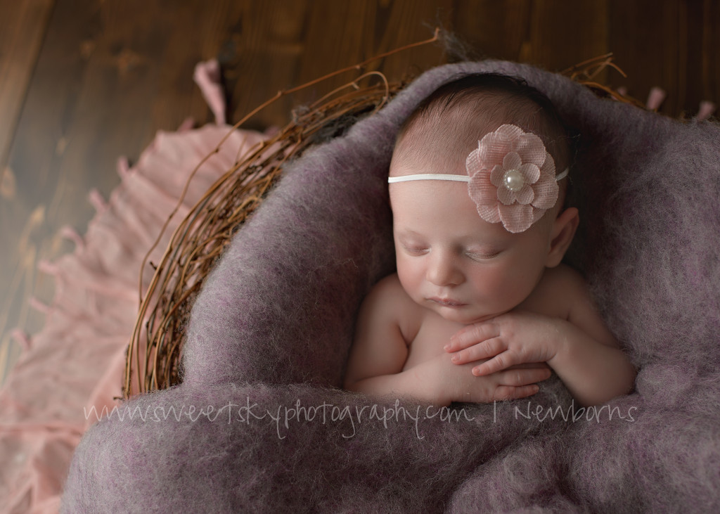 01Atlanta_Newborn_Maternity_Photographer_Baby_Child_Children