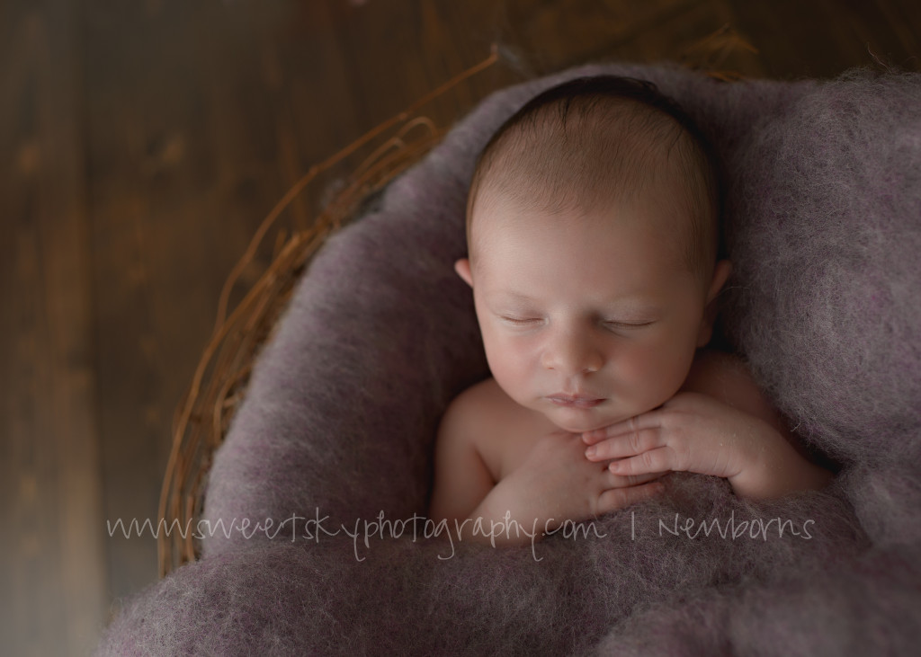 02Atlanta_Newborn_Maternity_Photographer_Baby_Child_Children