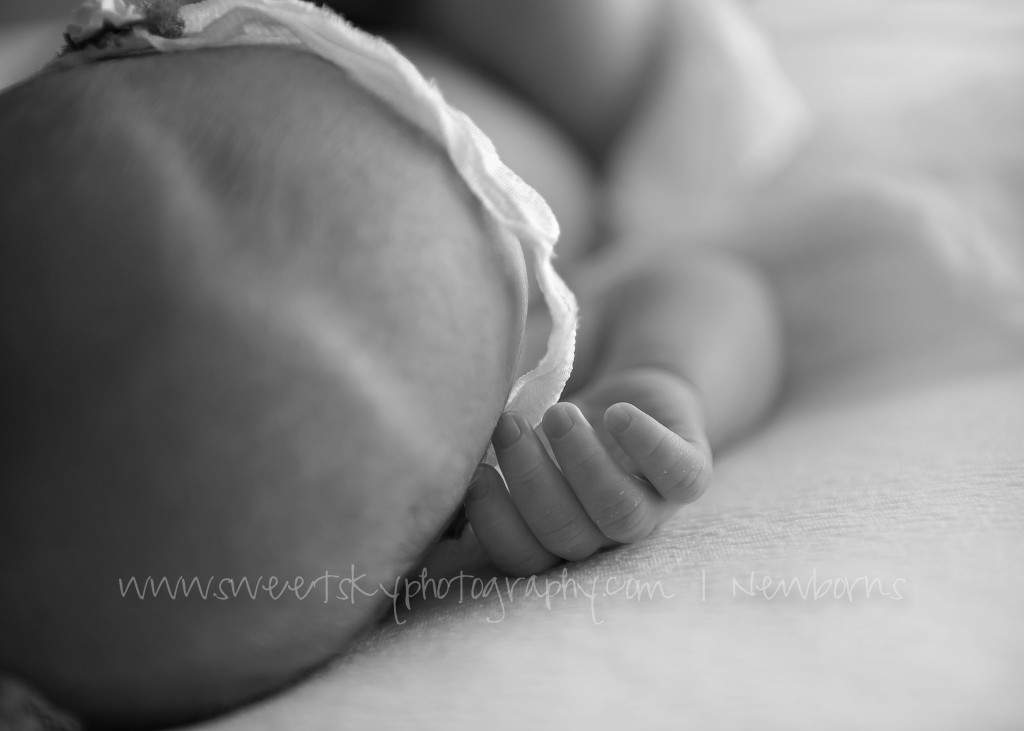 Newborn Family Session