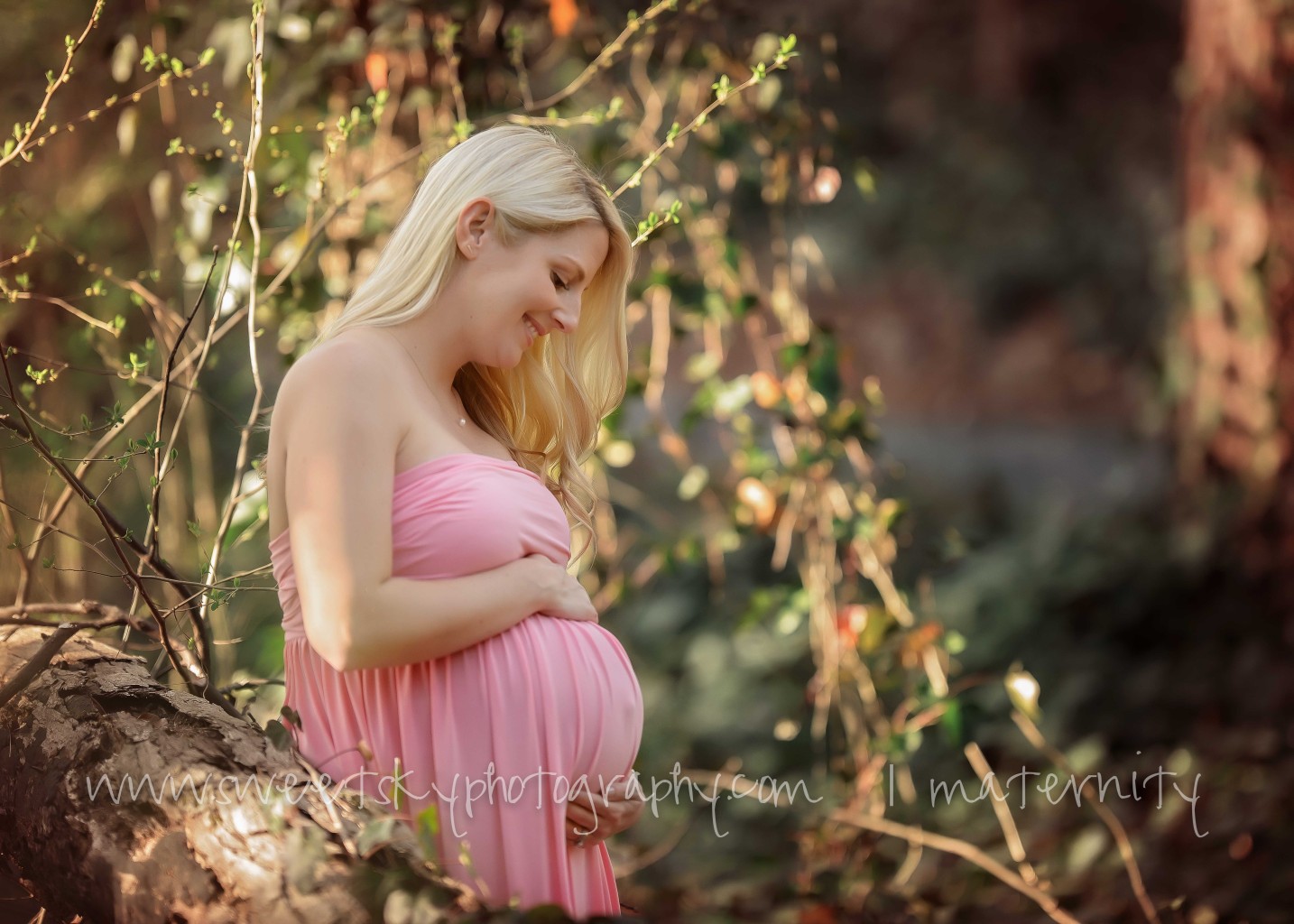Maternity Mini Session