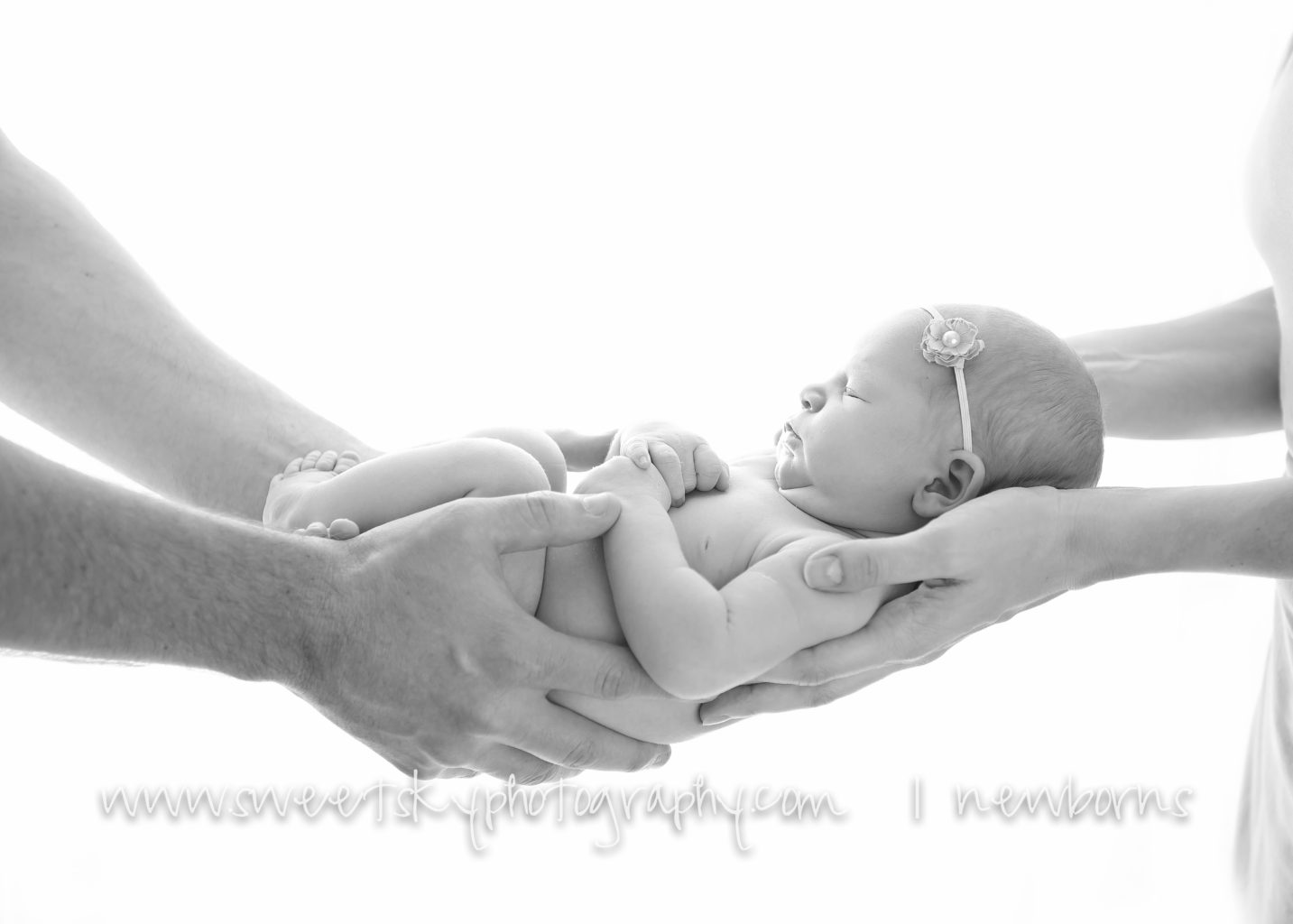 Atlanta Newborn Session