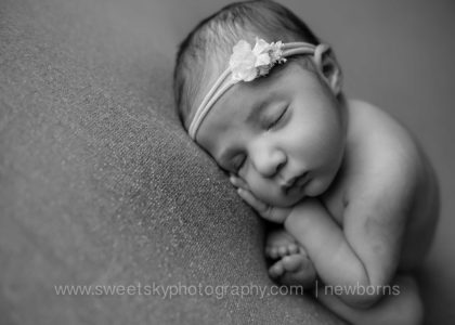gorgeous princess newborn session